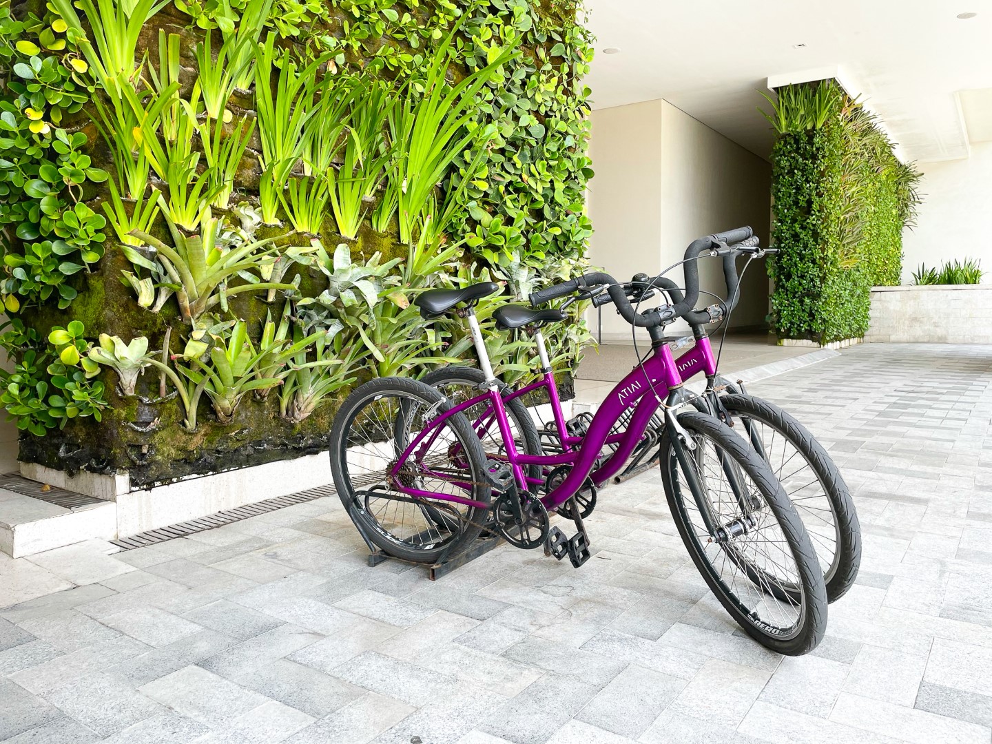 Bikes at Grand Hyatt Rio de Janeiro