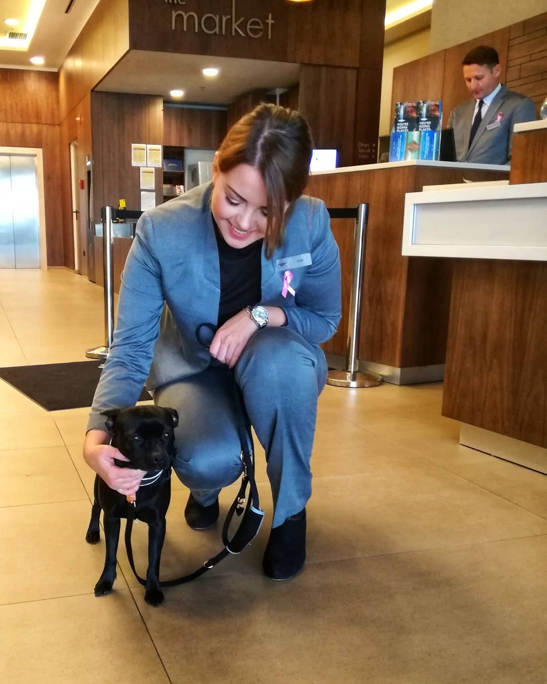 Courtyard by Marriott Sarajevo dog Courtyard by Marriott Sarajevo dog