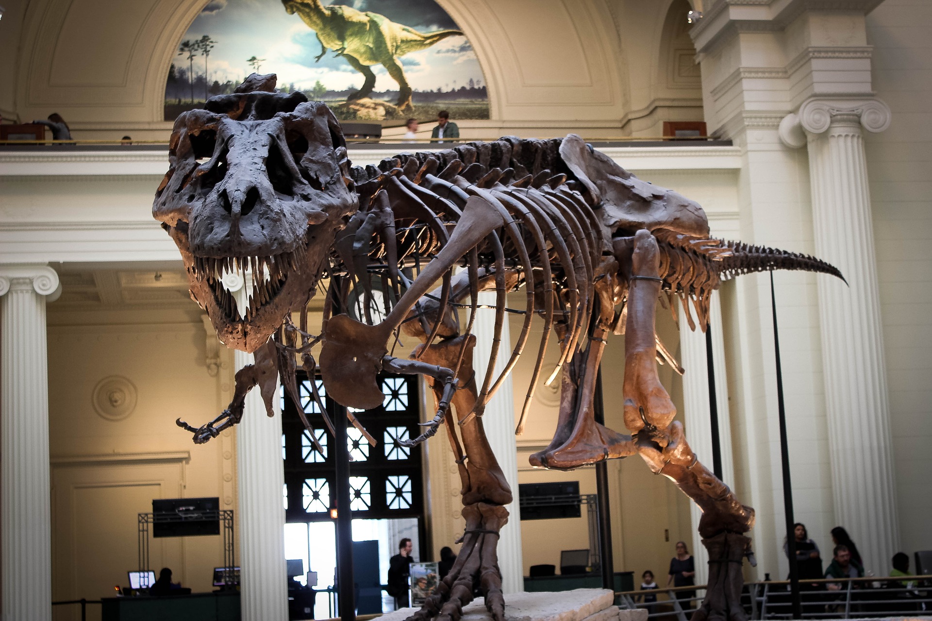 Field Museum of Natural History Field Museum of Natural History