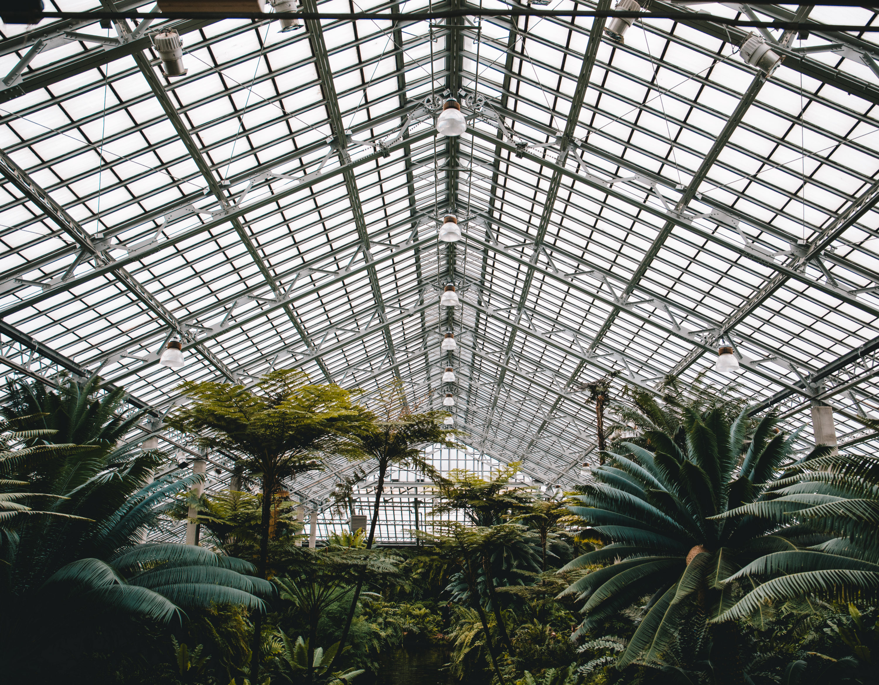 Garfield Park Conservatory Garfield Park Conservatory