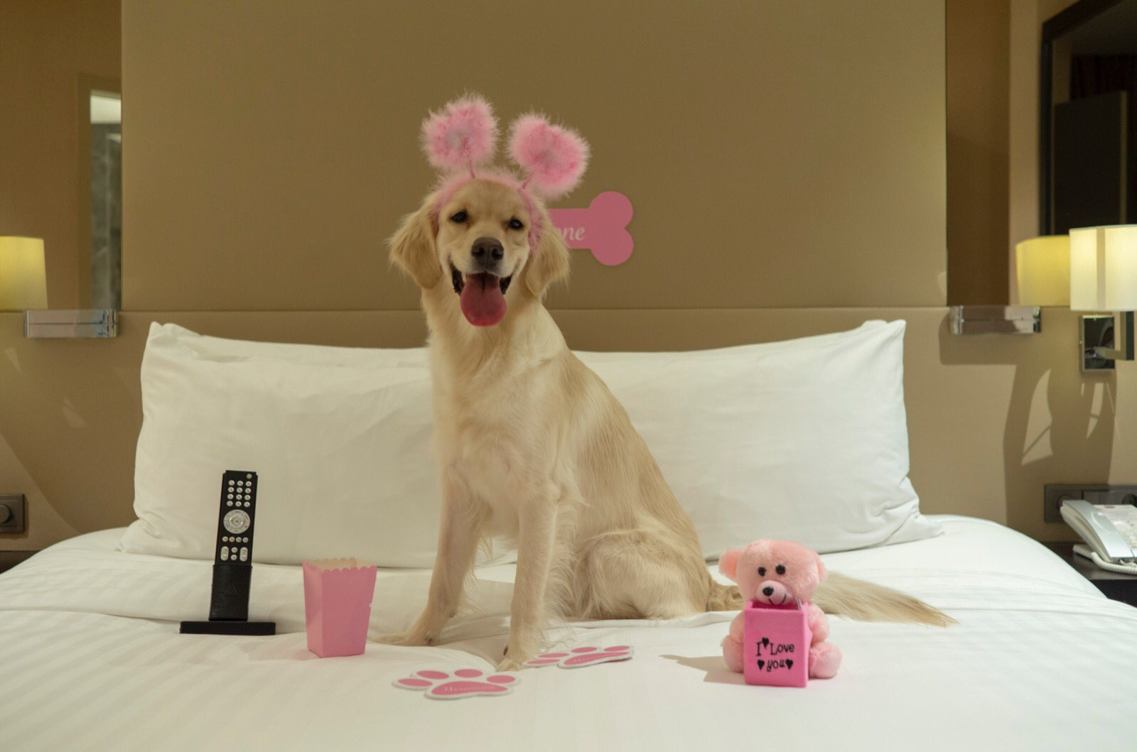 Istanbul Marriott Hotel Sisli dog Istanbul Marriott Hotel Sisli dog
