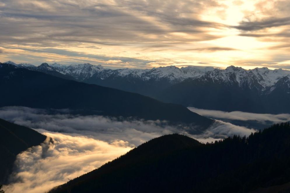 Olympic National Park