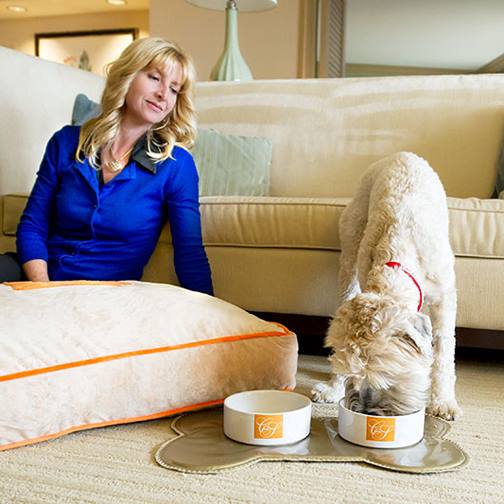 The Phoenician a Luxury Collection Resort Scottsdale dog The Phoenician a Luxury Collection Resort Scottsdale dog