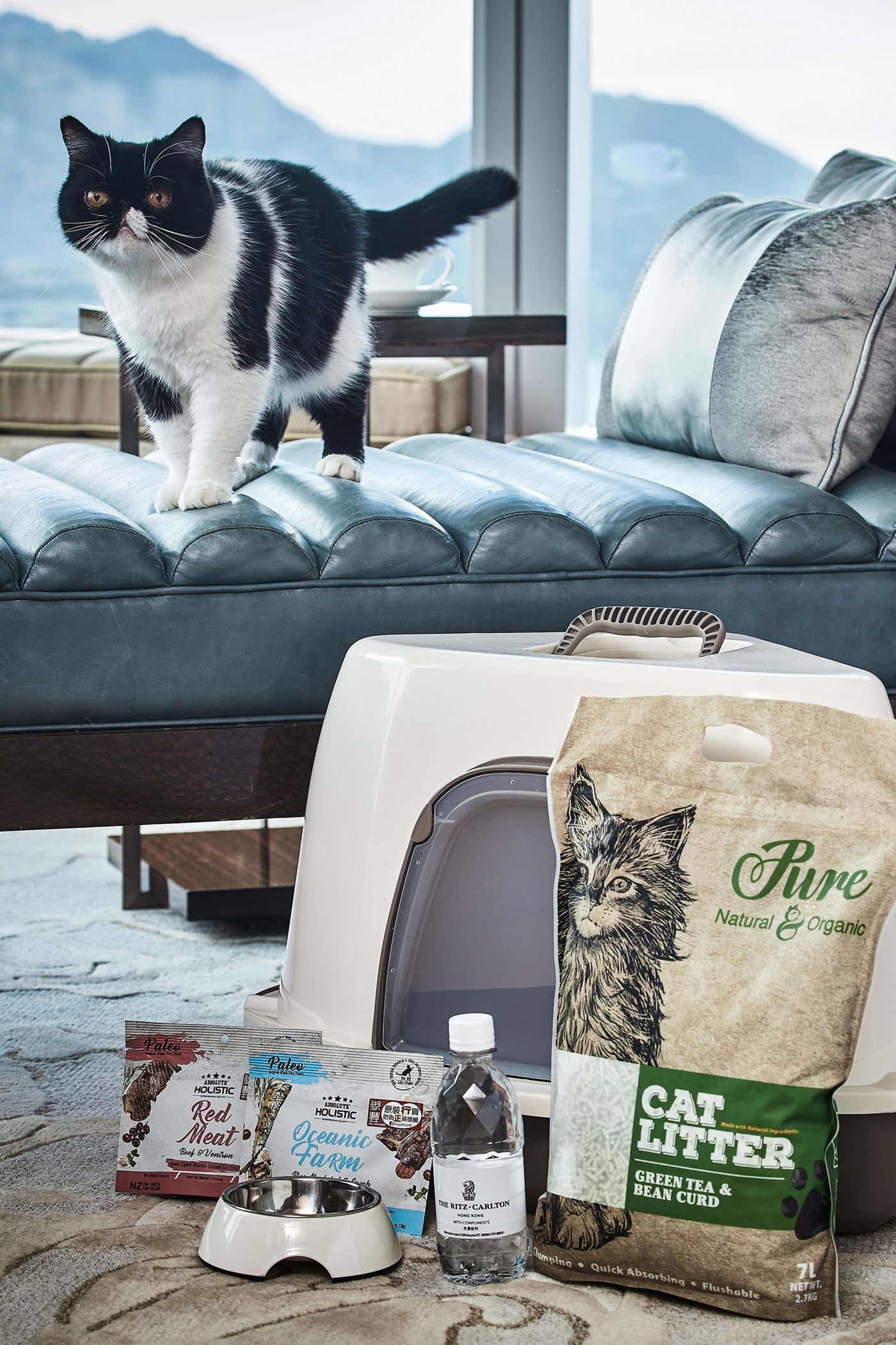 The Ritz Carlton Hong Kong cat