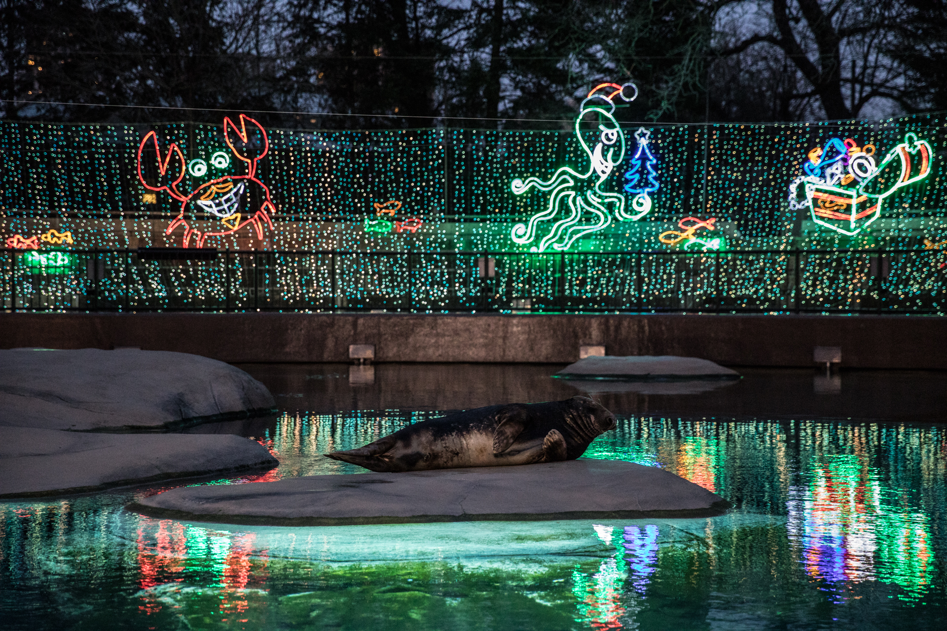 ZooLights at Lincoln Park Zoo ZooLights at Lincoln Park Zoo