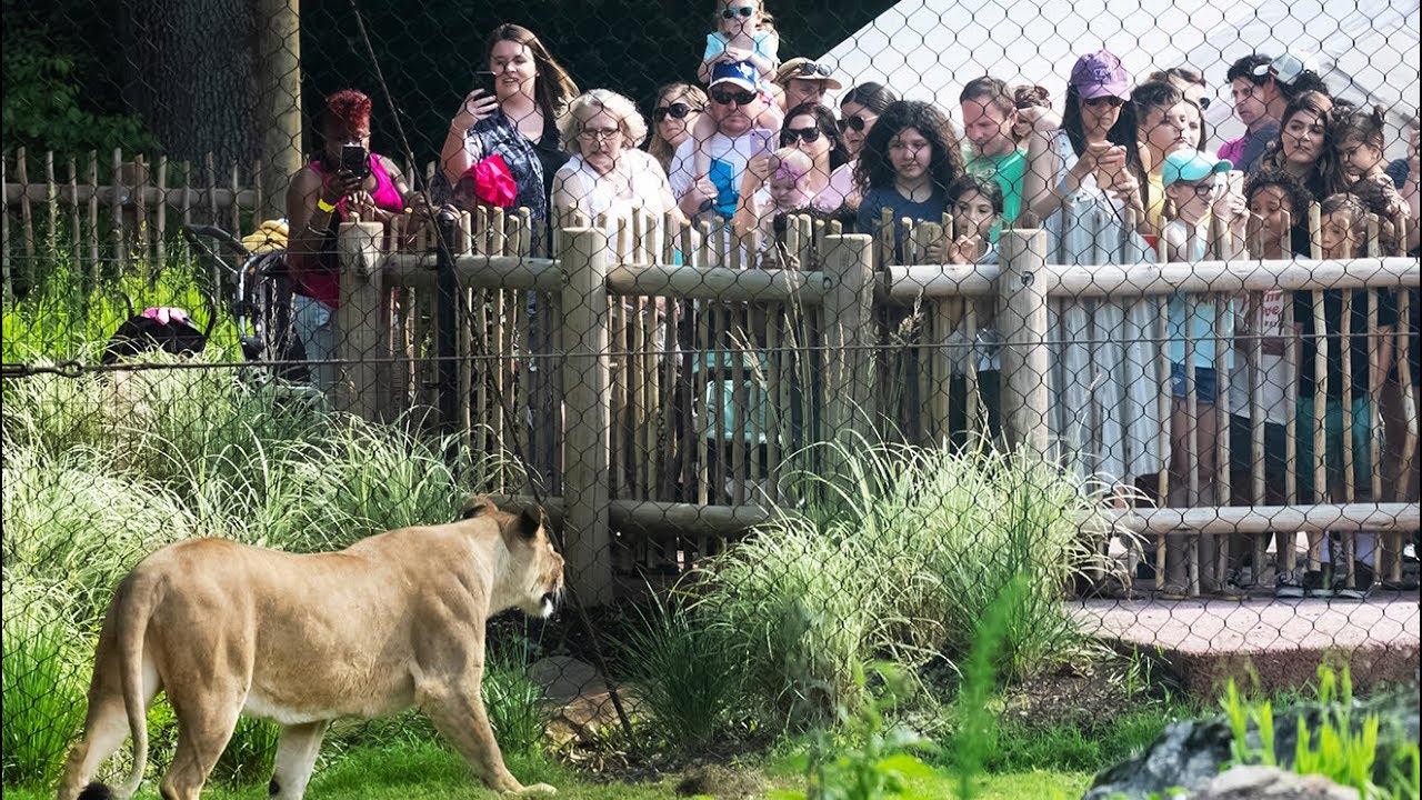Audubon Zoo