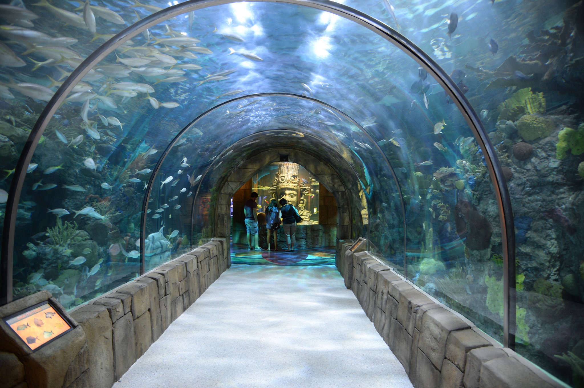 Great Maya Reef Tunnel Audubon