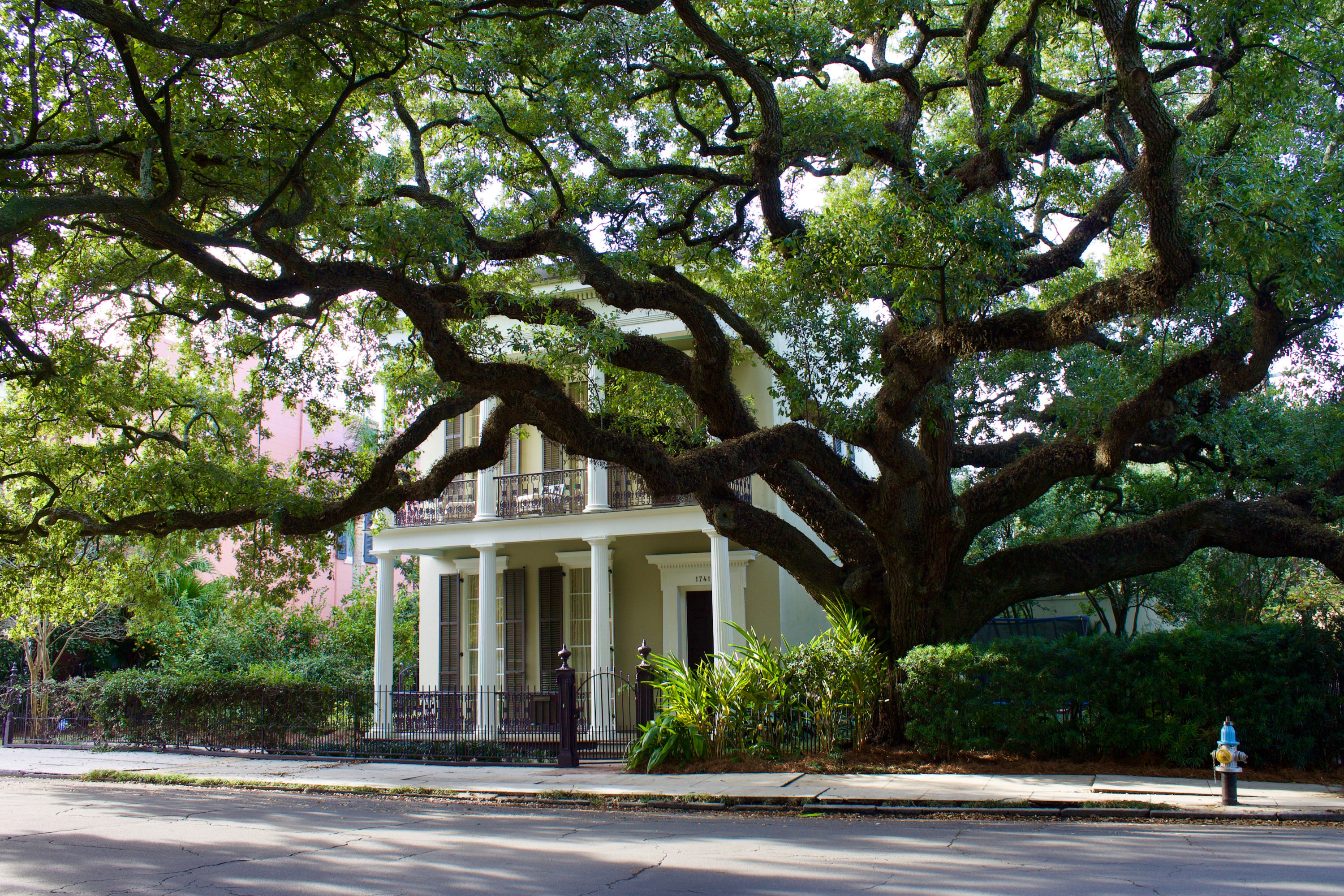 New Orleans Garden District