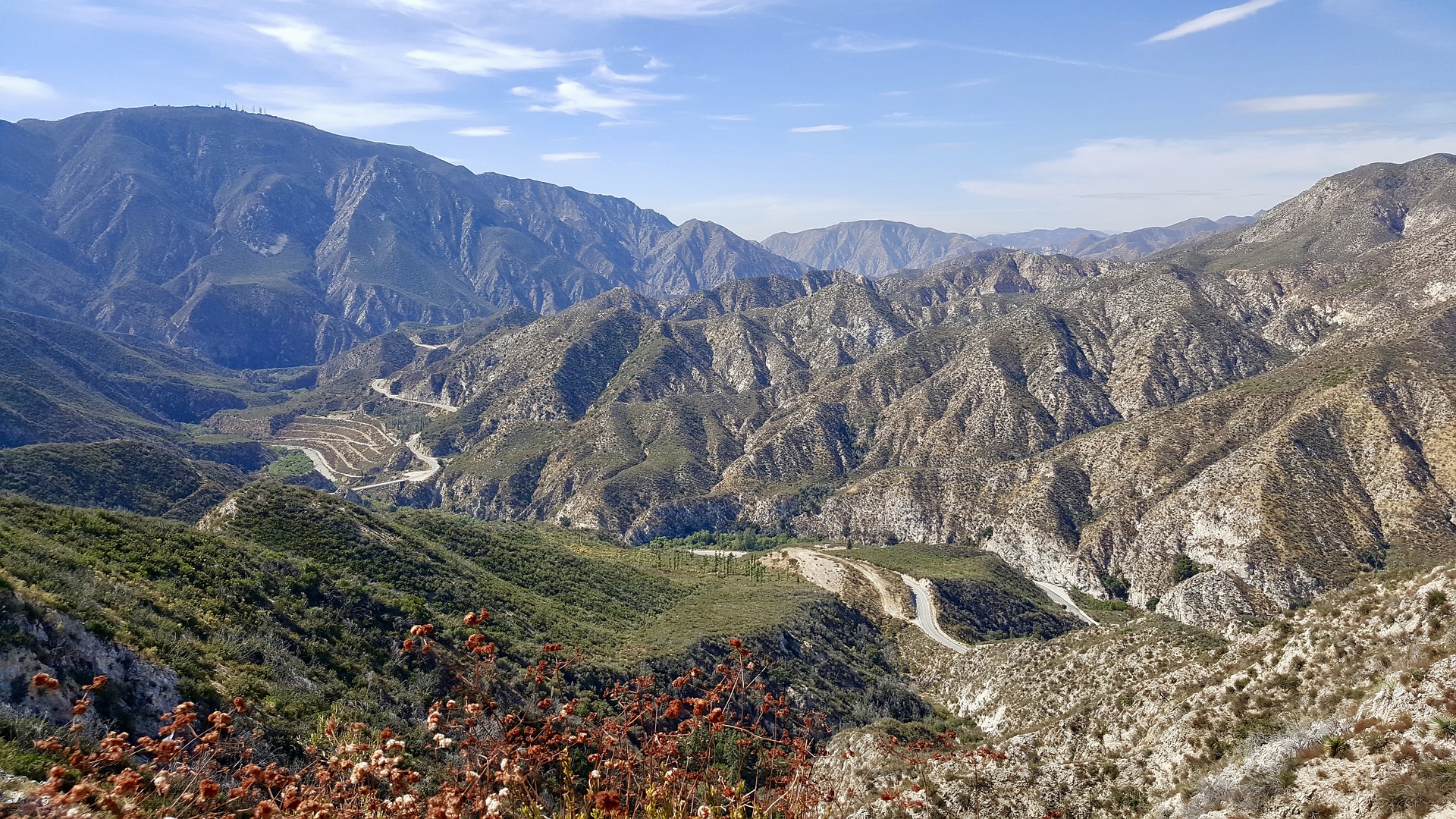 Angeles National Forest