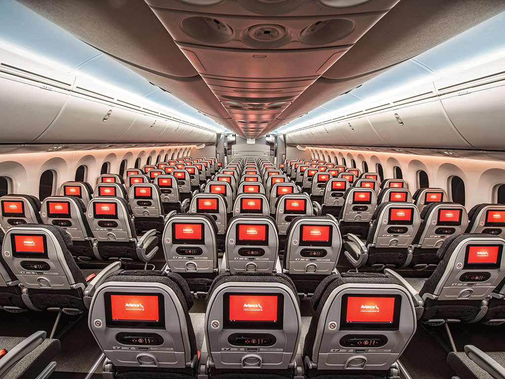 Avianca 787-8 economy