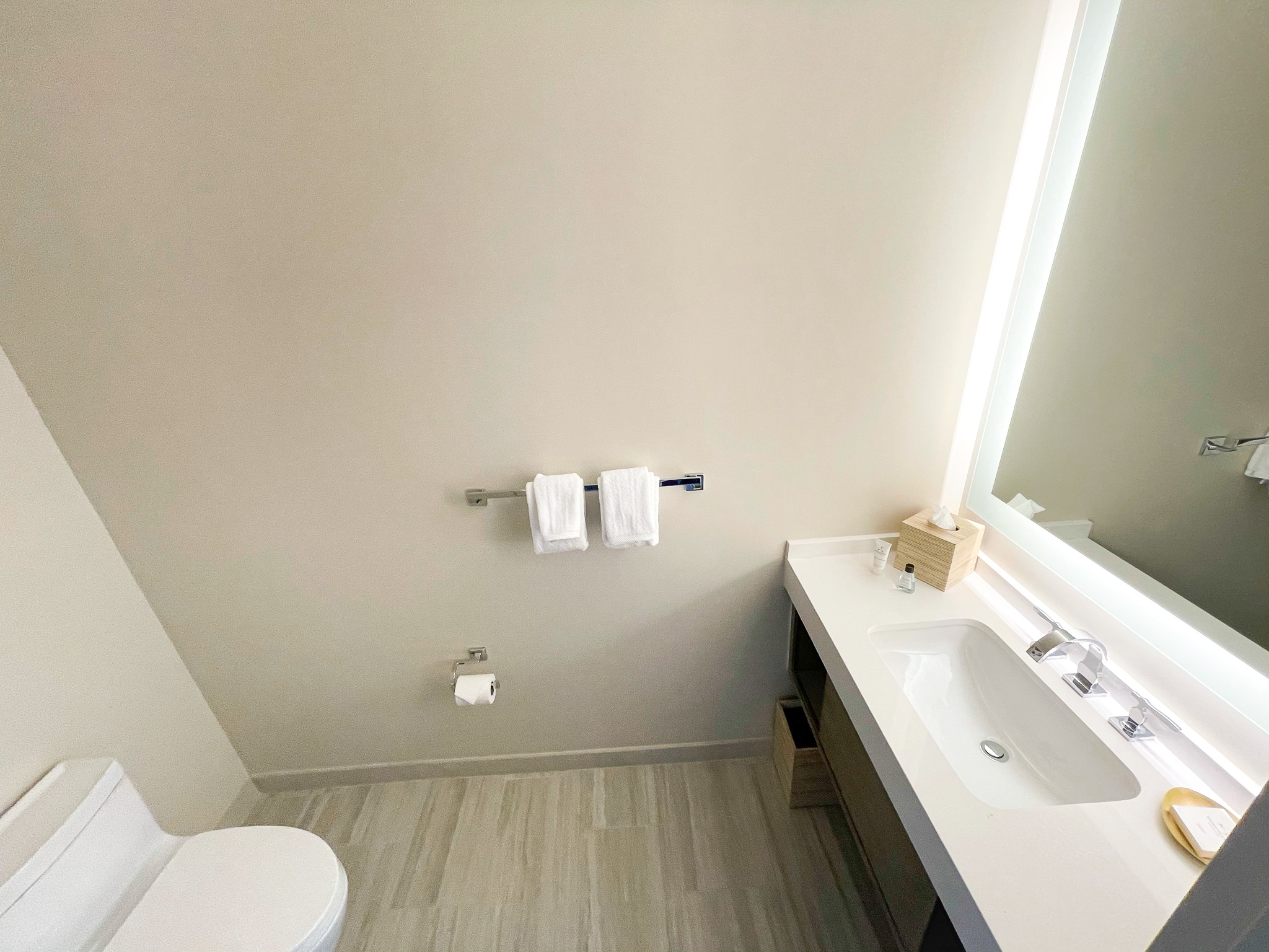 JW Marriott Bonnet Creek Orlando half bath