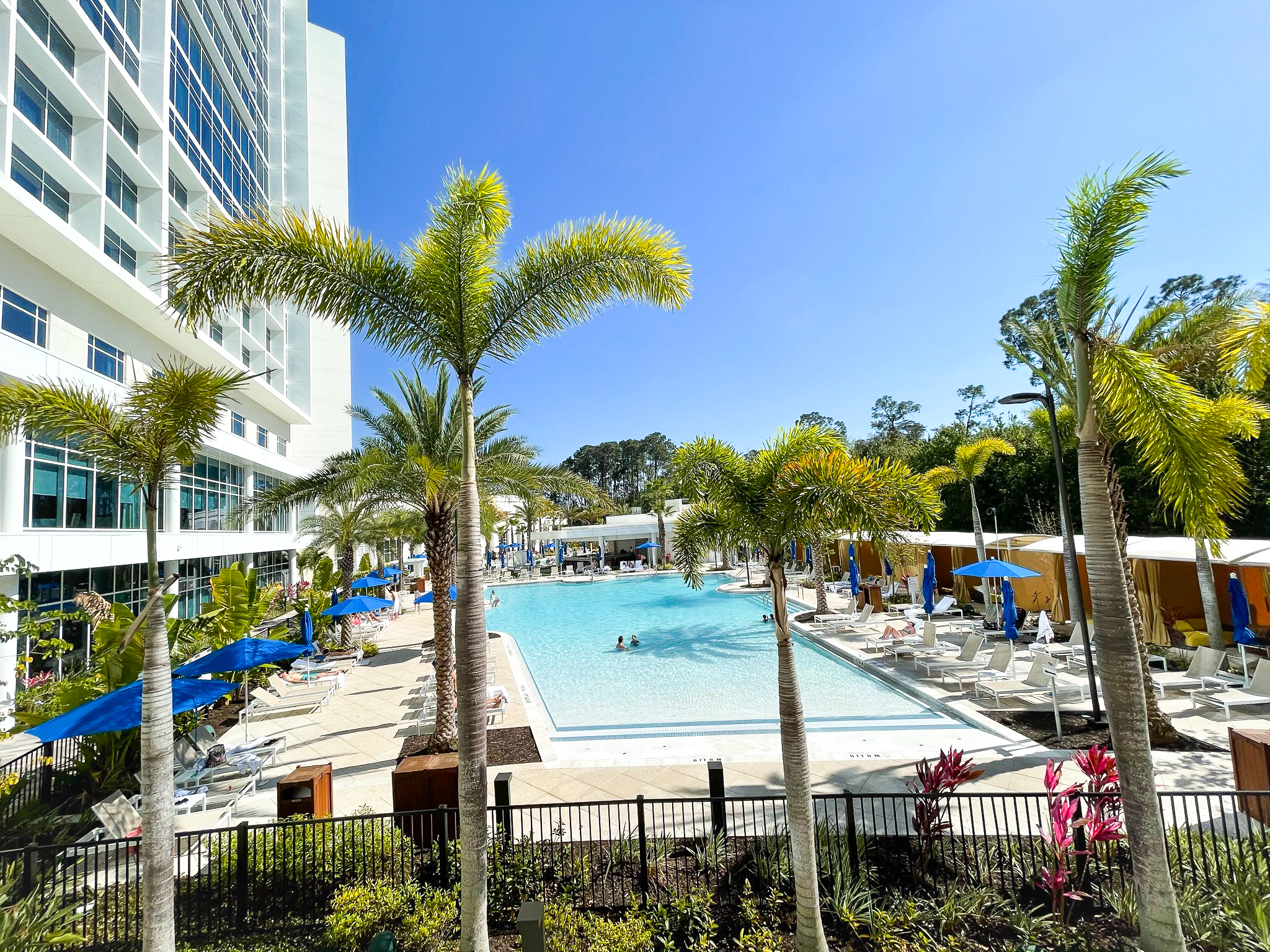 JW Marriott Bonnet Creek Orlando pool and palm trees