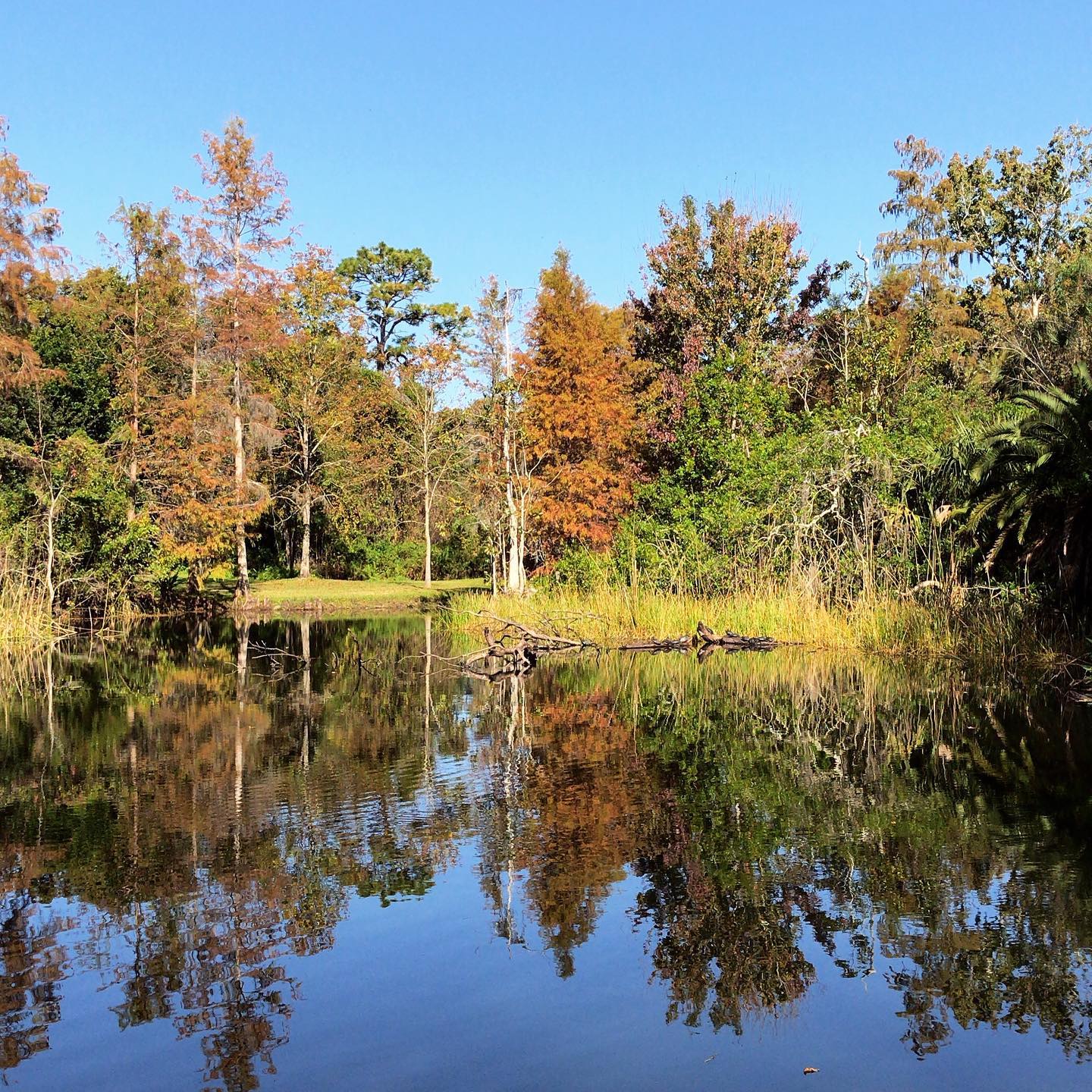 Mead Botanical Garden