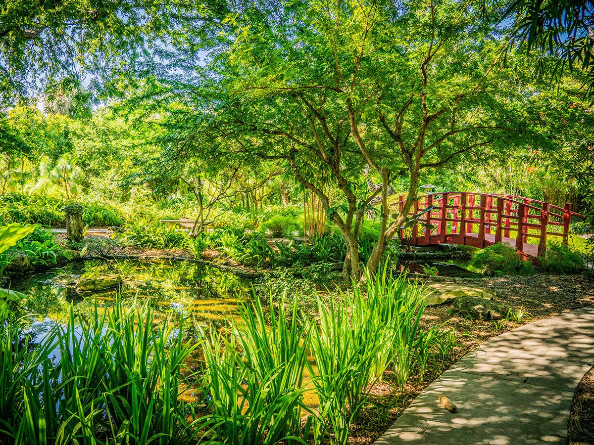Miami Beach Botanical Garden