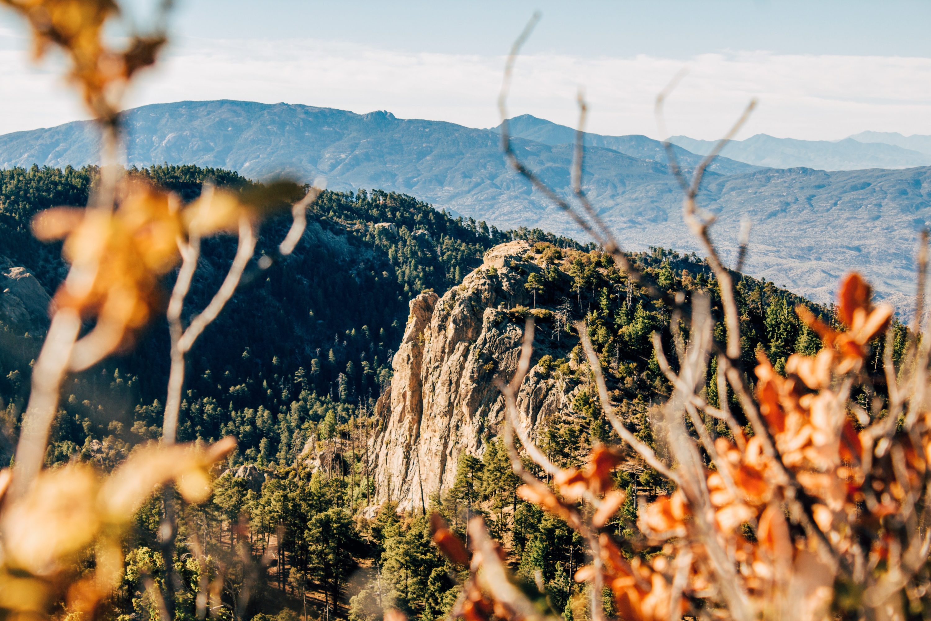 Mount Lemmon