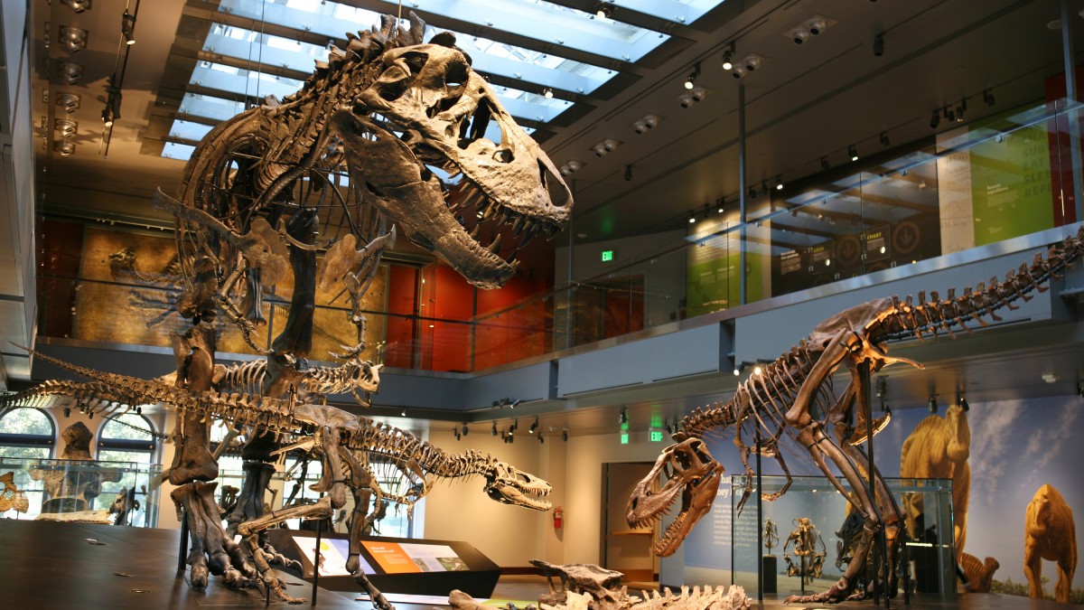 Natural History Museum Los Angeles