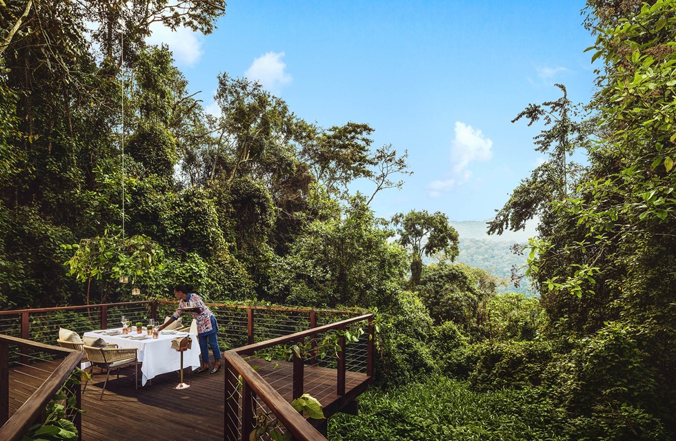OneOnly Nyungwe House