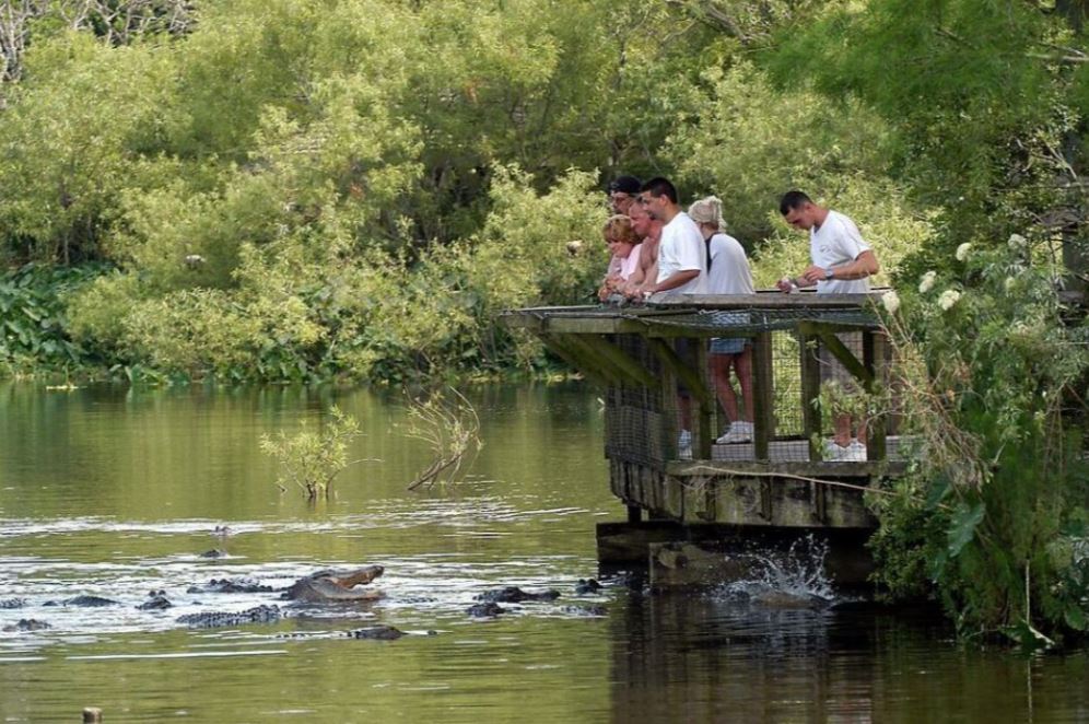 Orlando Gatorland