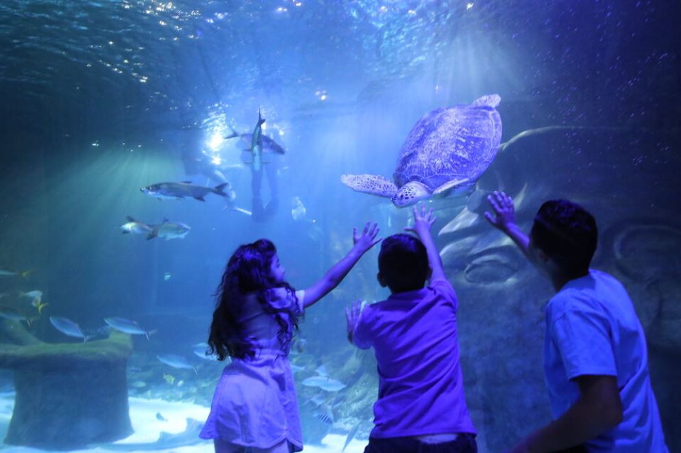 SEA LIFE Orlando Aquarium