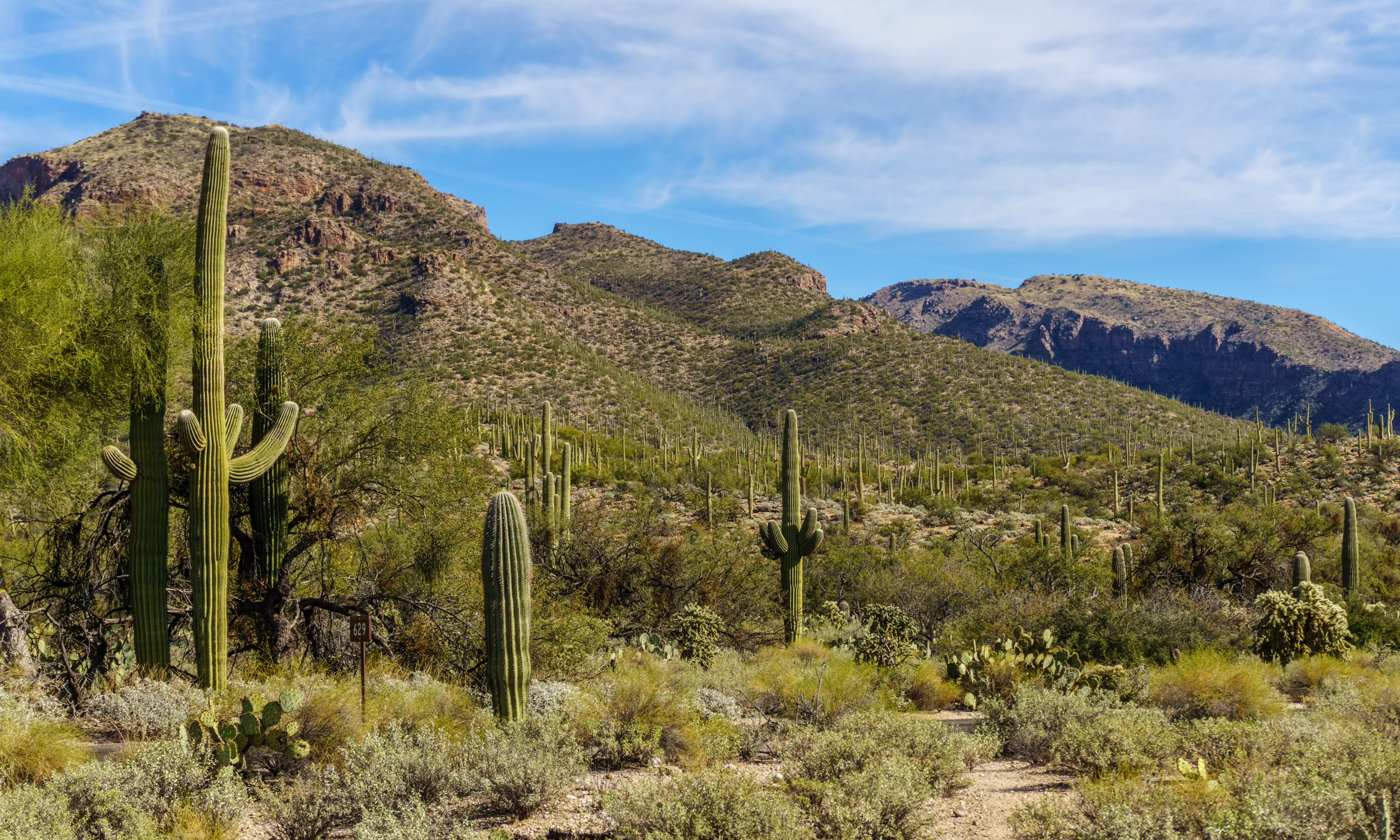 Sabino Canyon