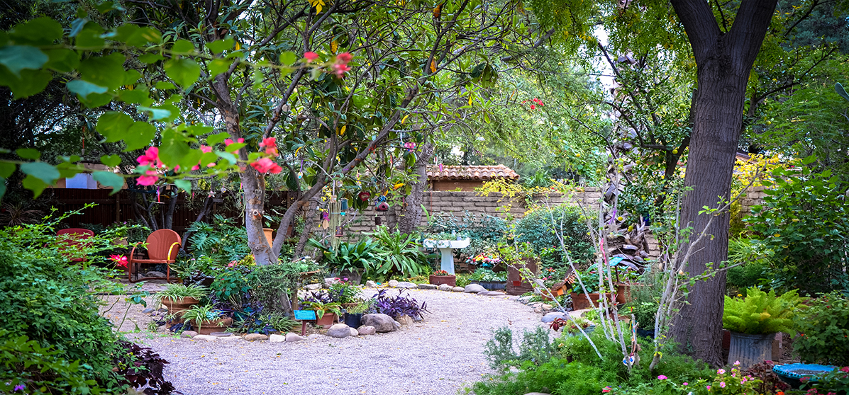 Tucson Botanical Garden