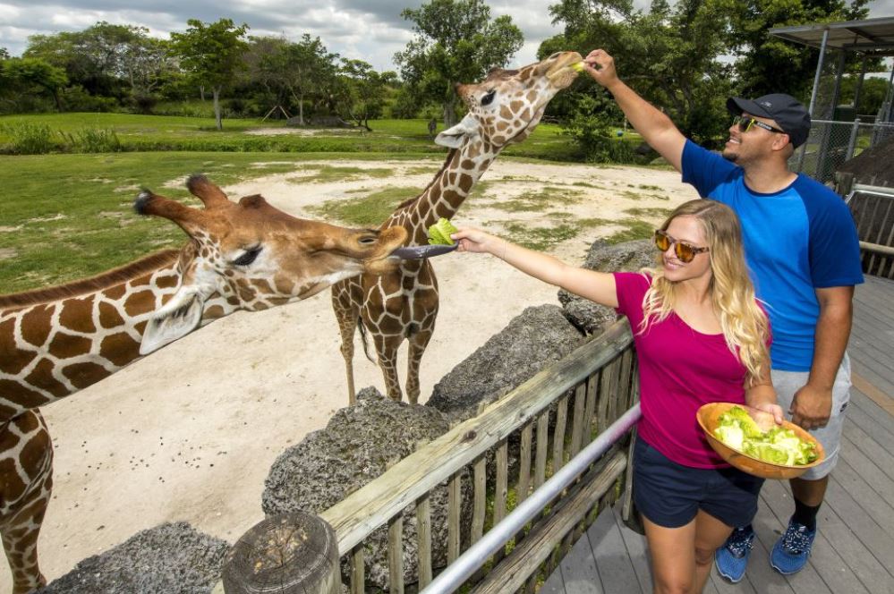Zoo Miami