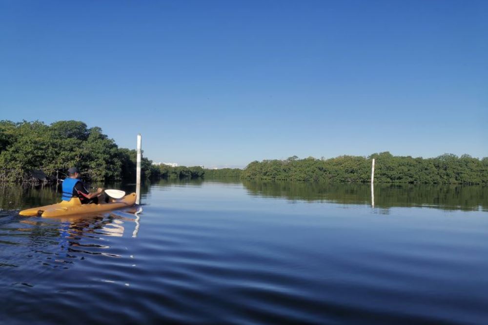 Cancun Kayaking Tour