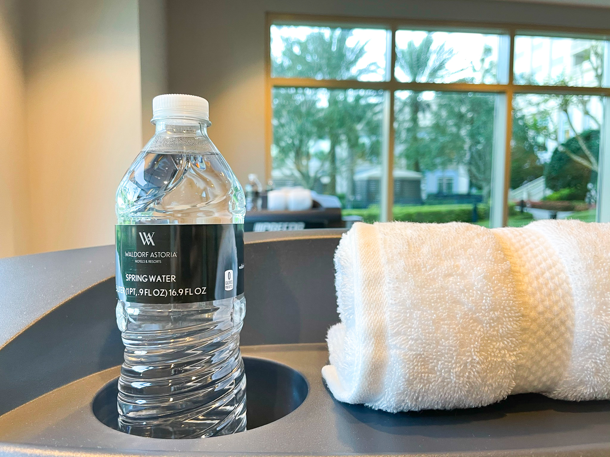 Waldorf Astoria Orlando gym water bottle
