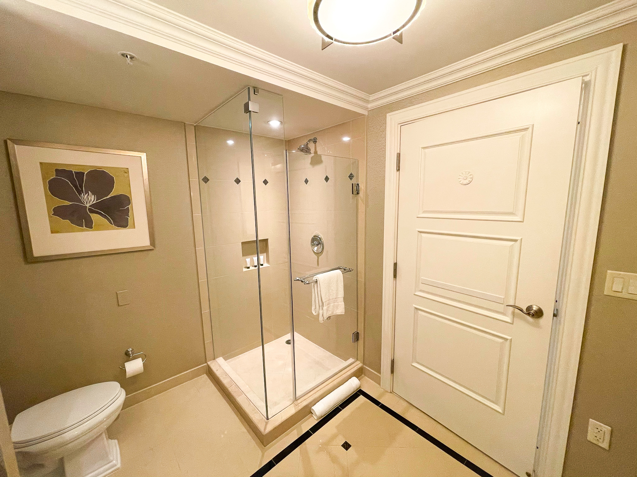 Waldorf Astoria Orlando shower