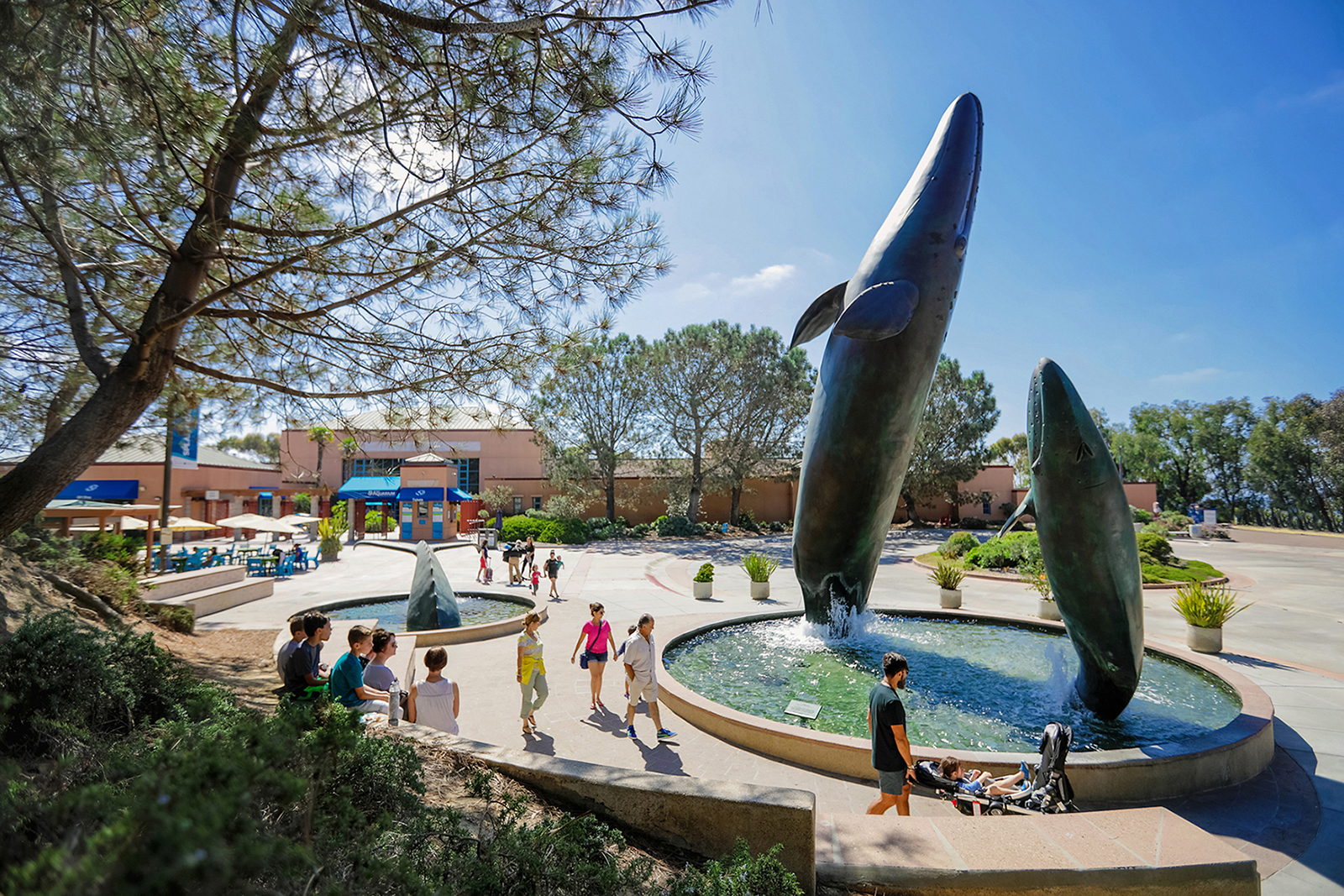 Birch Aquarium San Diego entrance