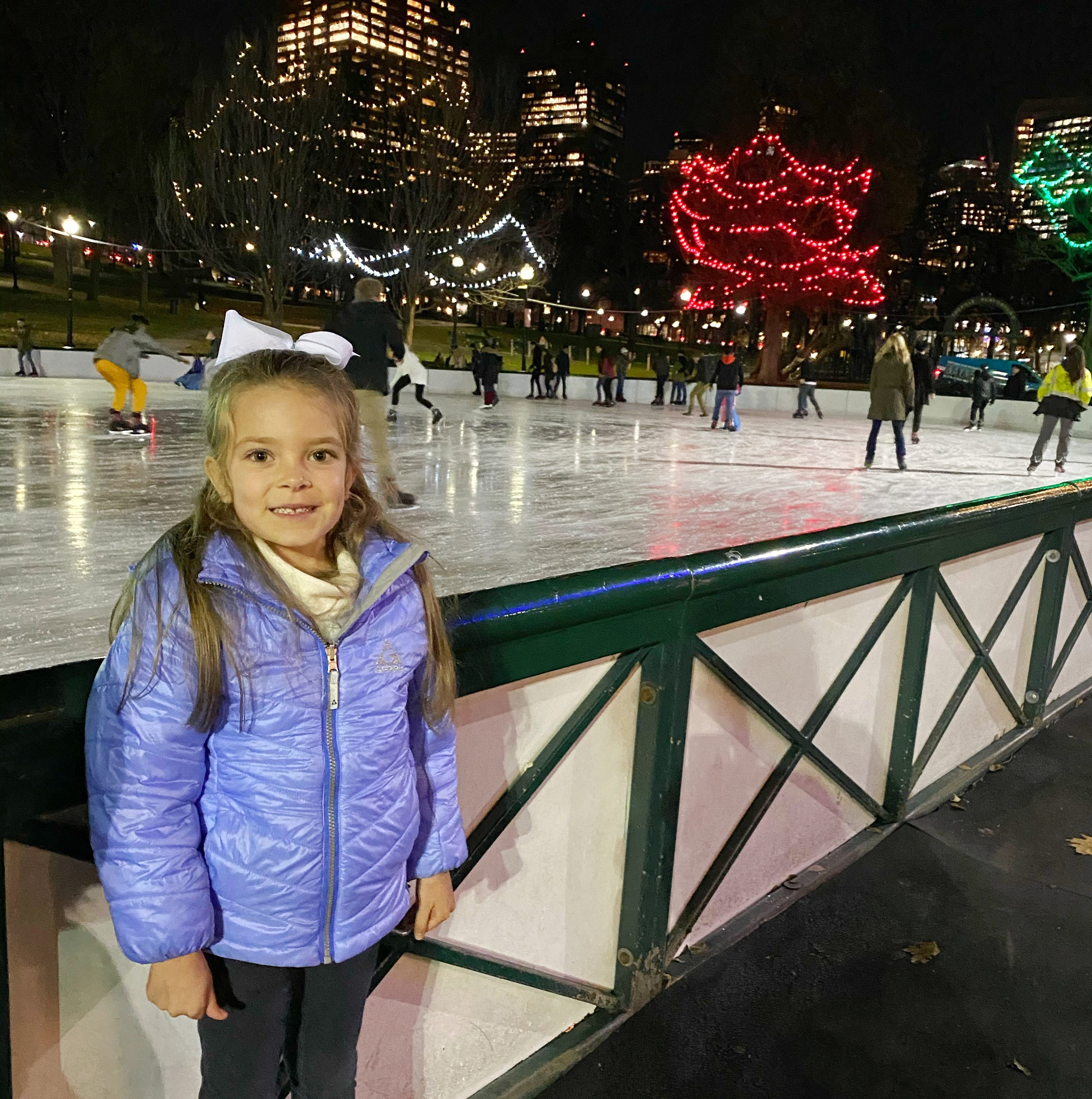 Boston Common Frog Pond skating rink