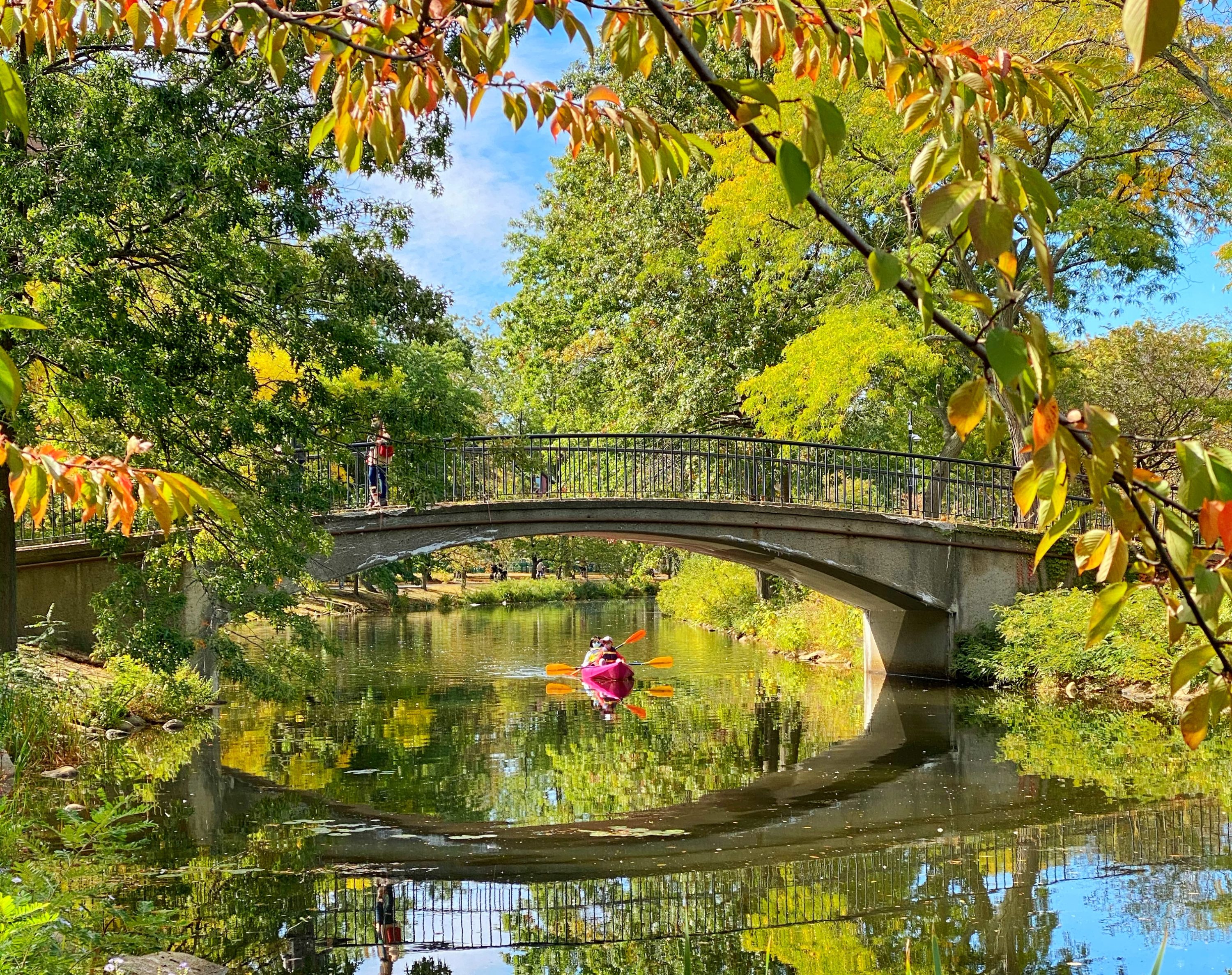 Boston Community Boating kayak rental in the Charles River