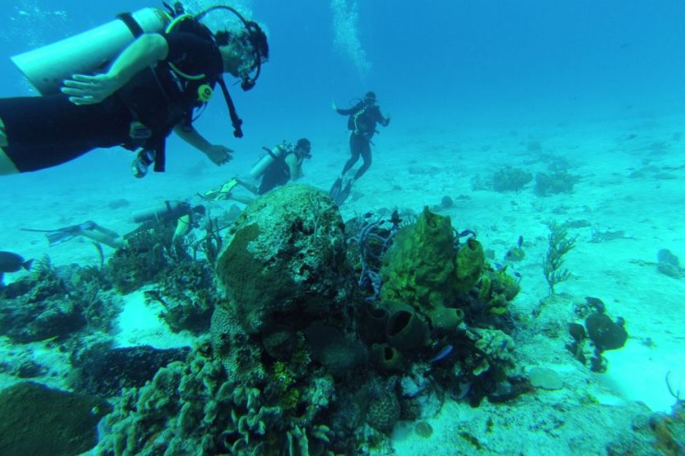 Cozamul Diving