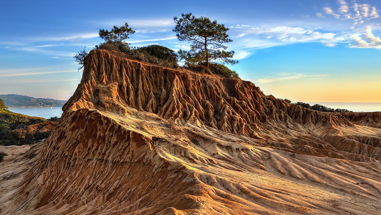 Torrey Pines State Natural Reserve San Diego