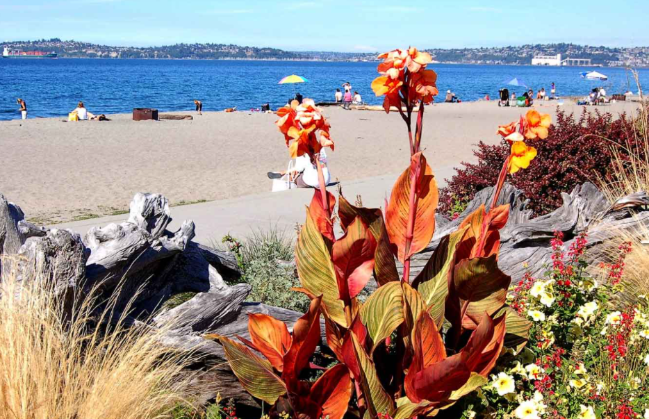 Alki Beach Park seattle