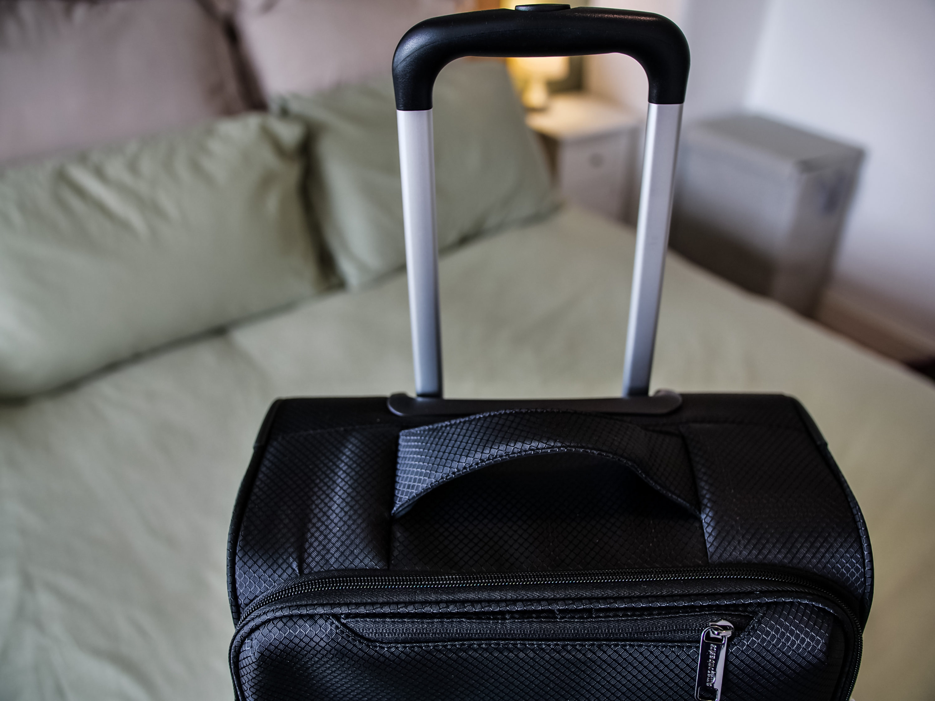 AmazonBasics Luggage Telescopic Handle