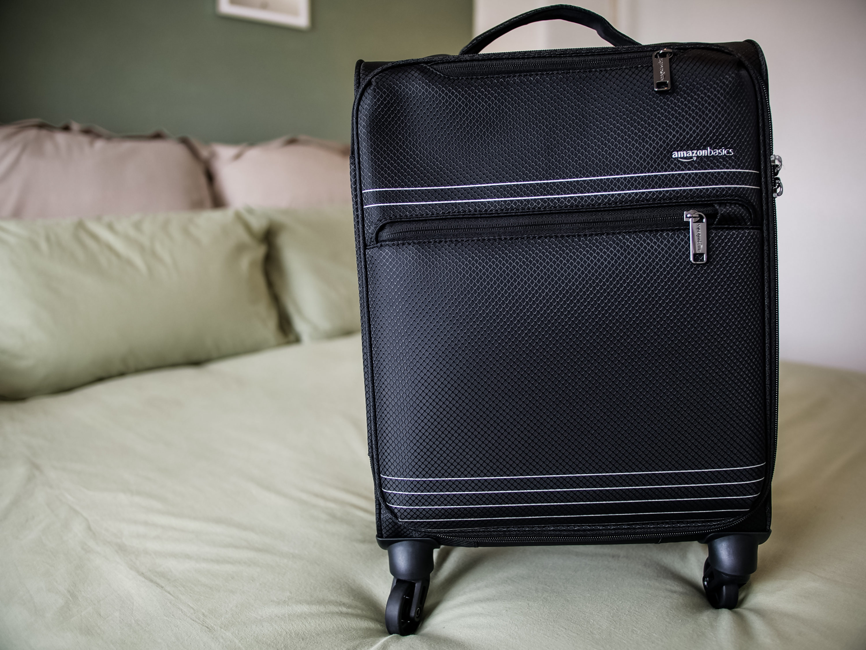 AmazonBasics Luggage