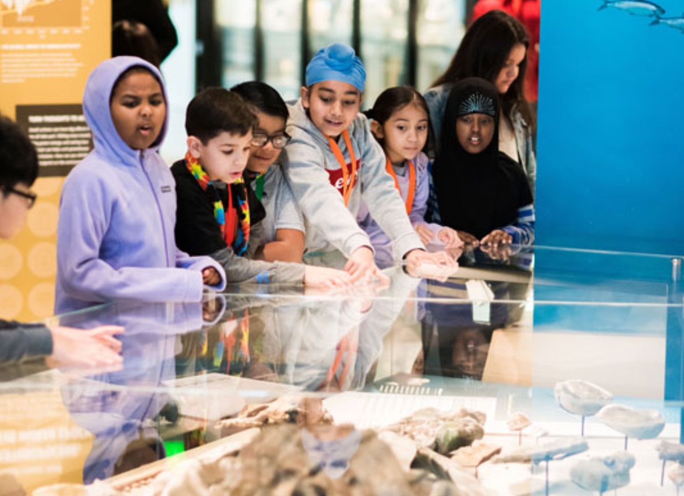 Burke Museum of Natural History and Culture
