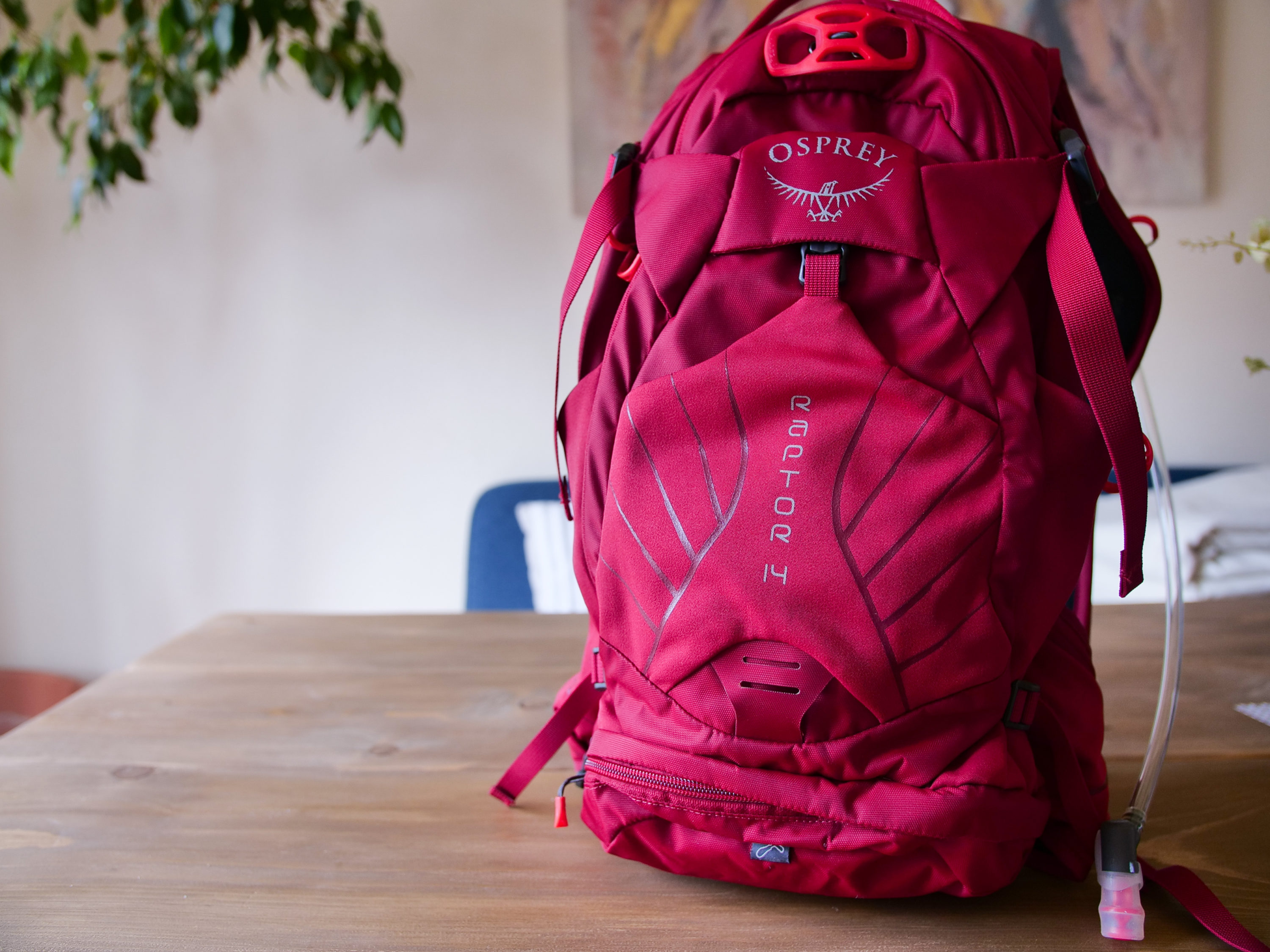 Hydration Backpack