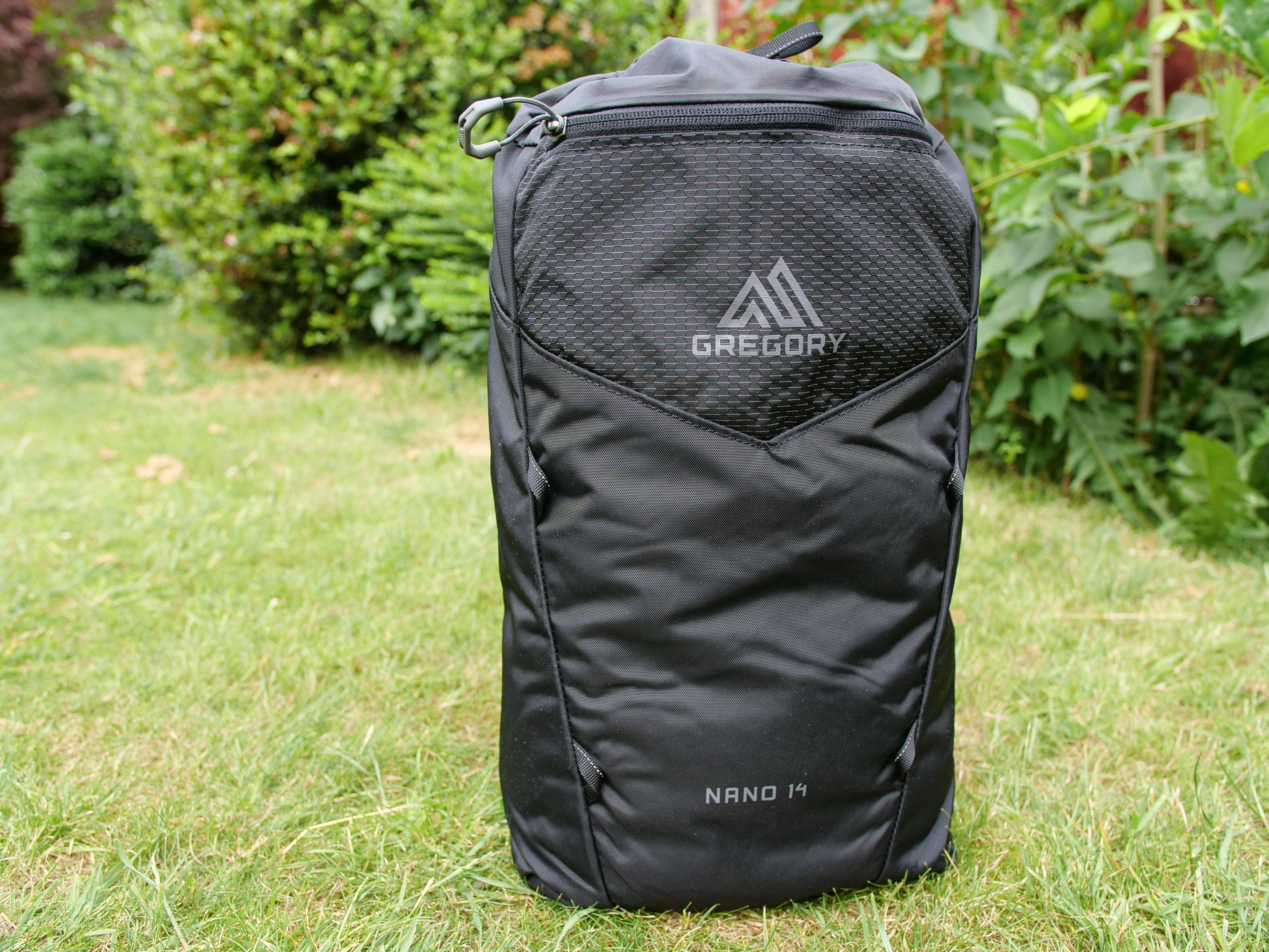 Gregory Backpack