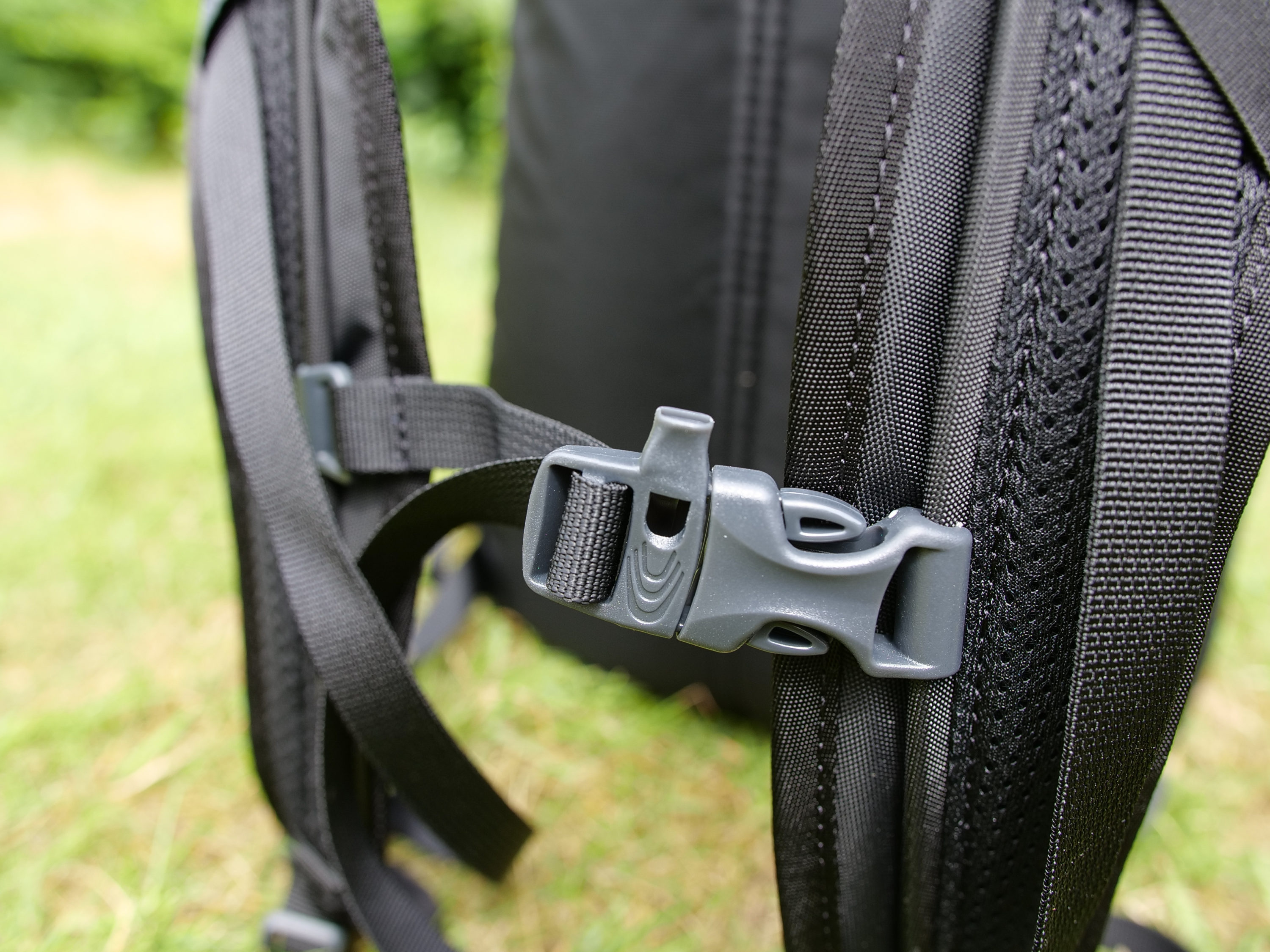 Gregory Buckles