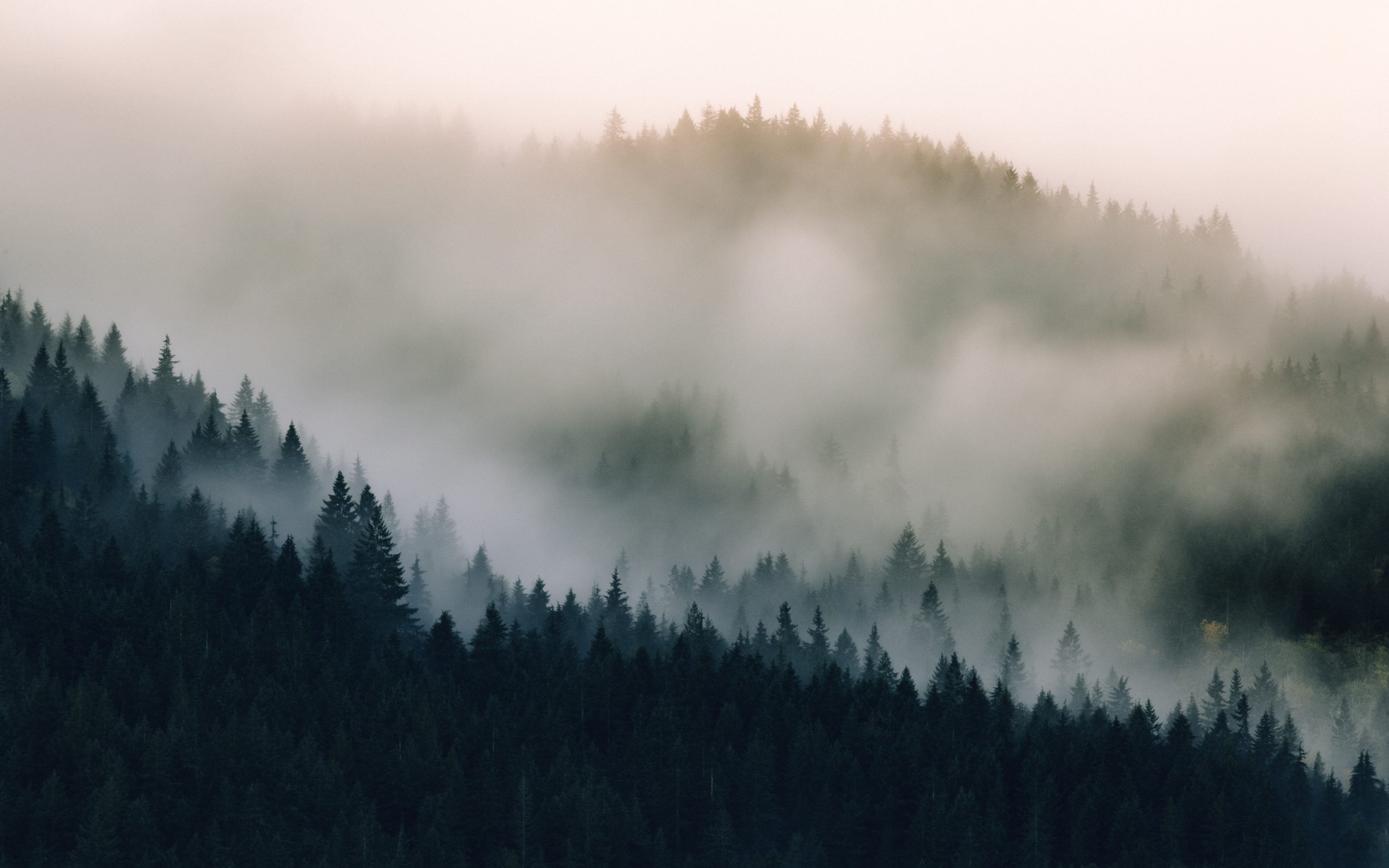 Pacific Northwest
