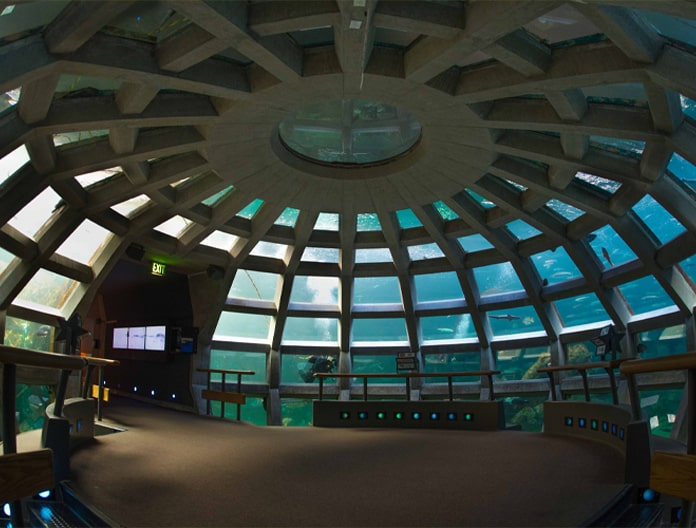 Seattle Aquarium Underwater Dome