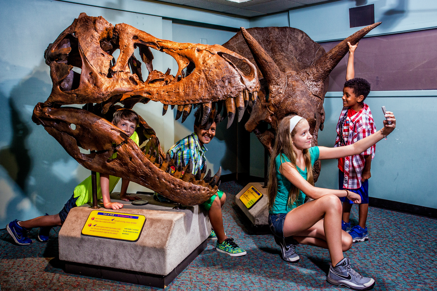 The Academy of Natural Sciences of Drexel University DinoHall T Rex Fossil