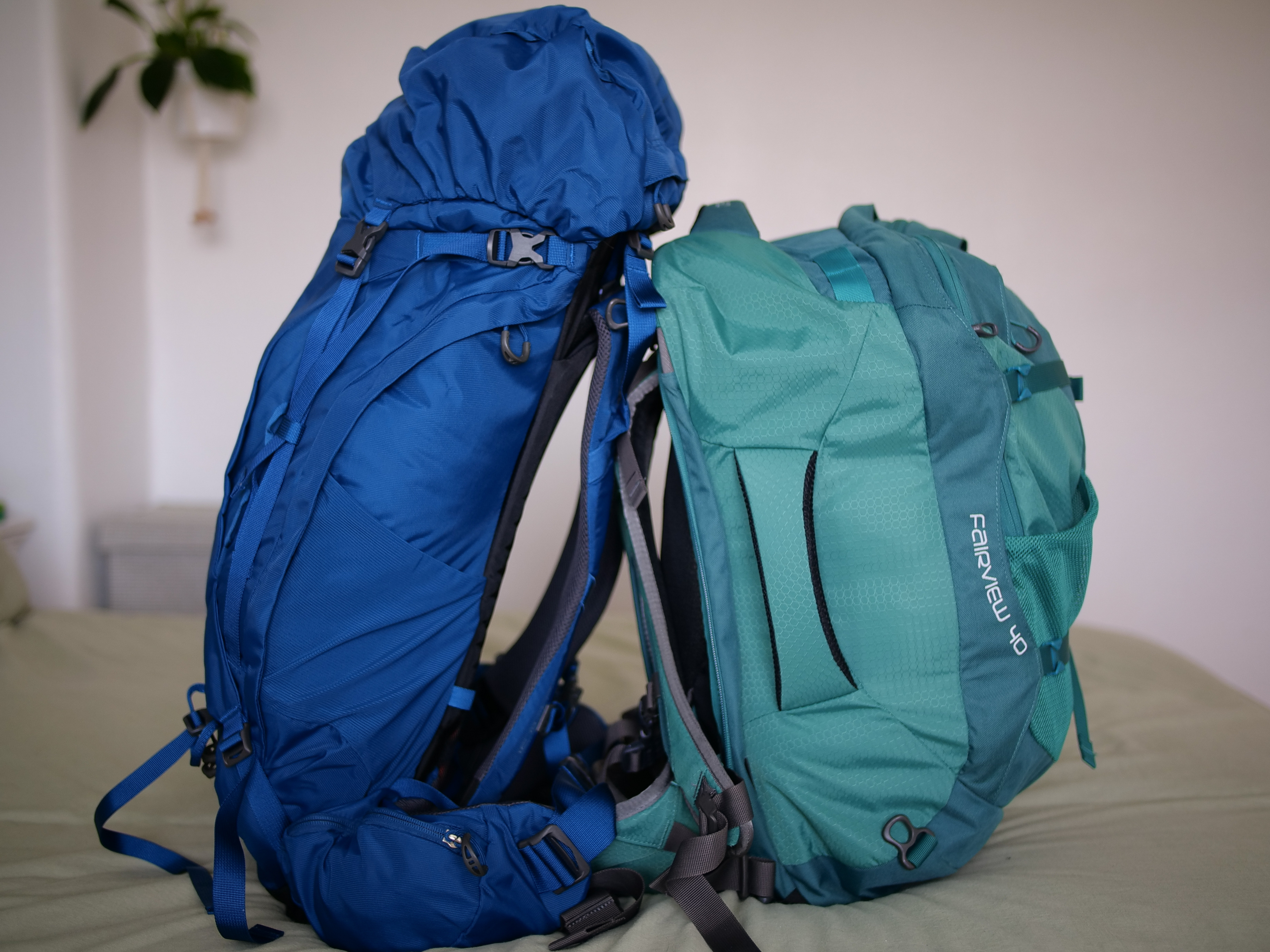 Travel Backpack Size