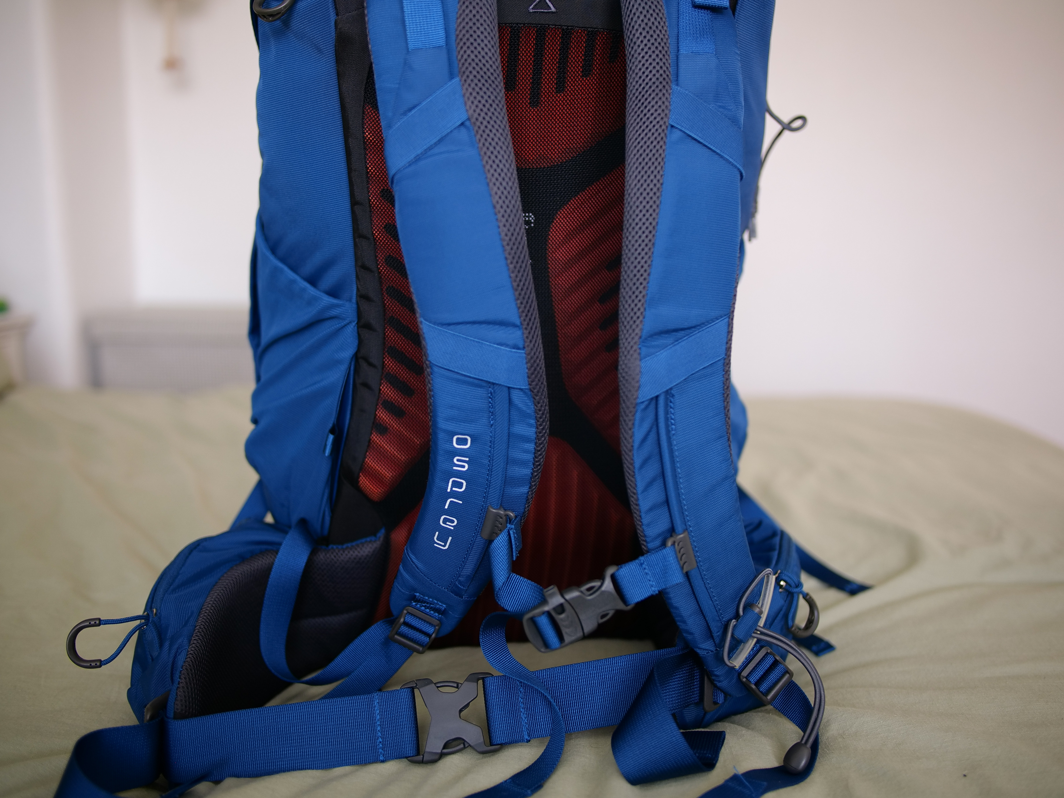 Travel Backpack Straps