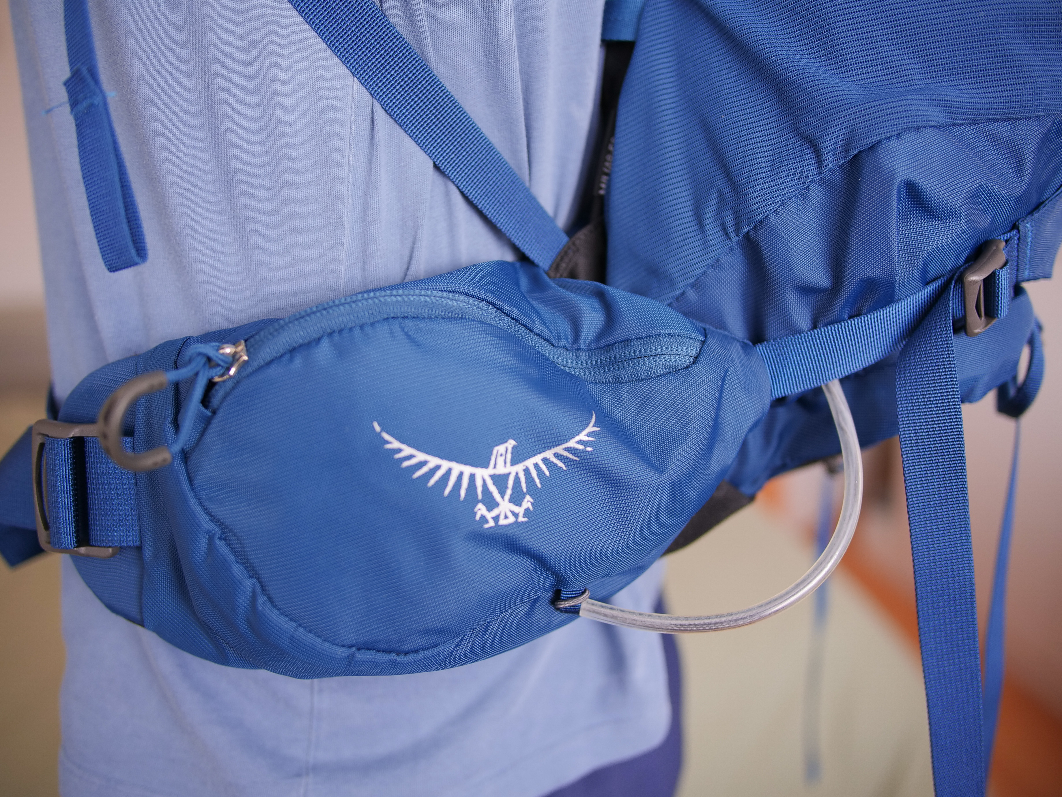 Travel Backpack Waist Pack