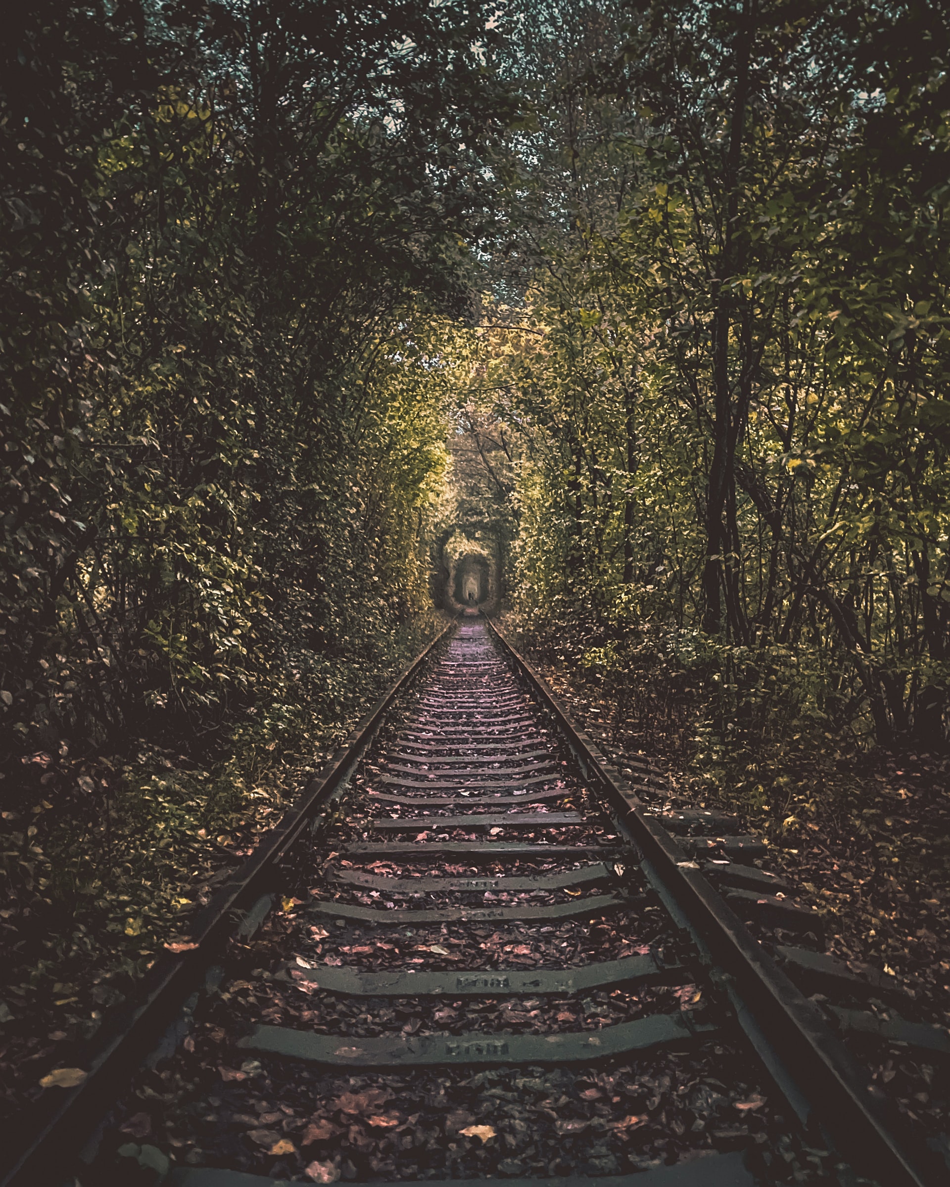 Tunnel of Love Ukraine