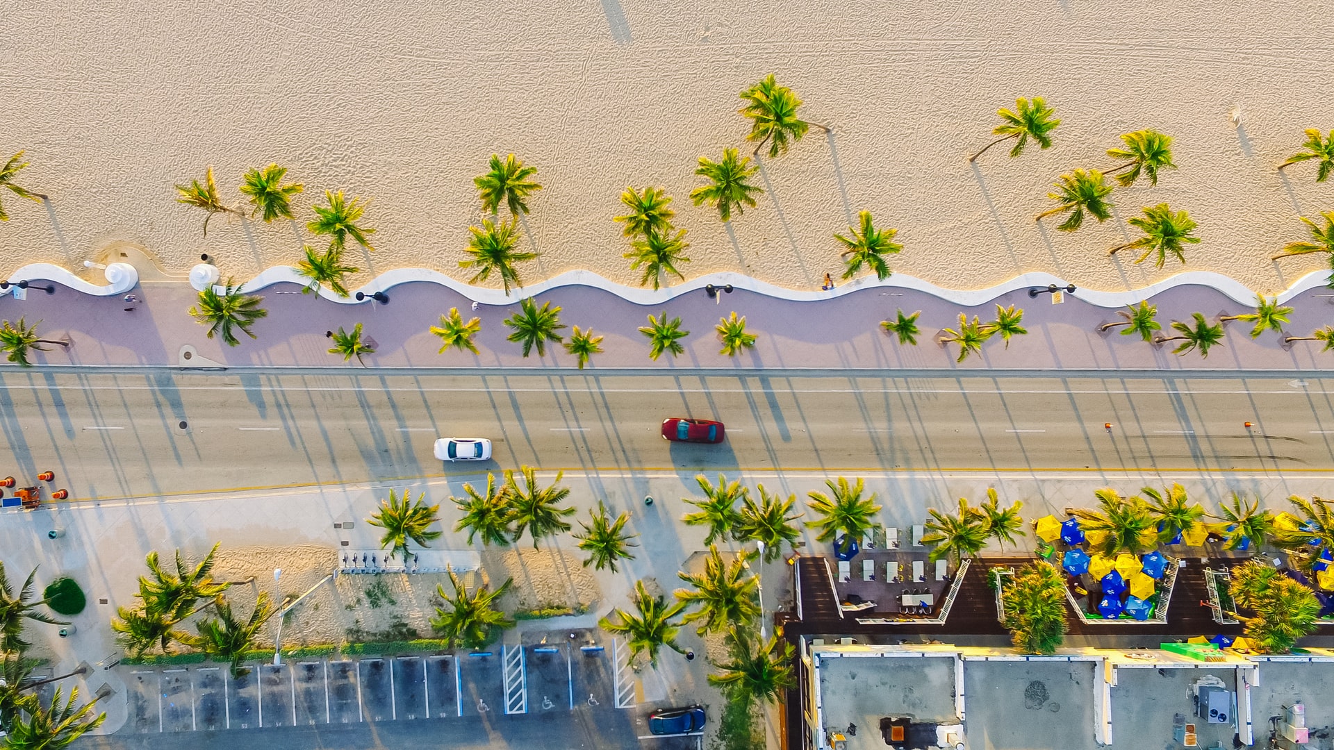 Miami beach with palm trees