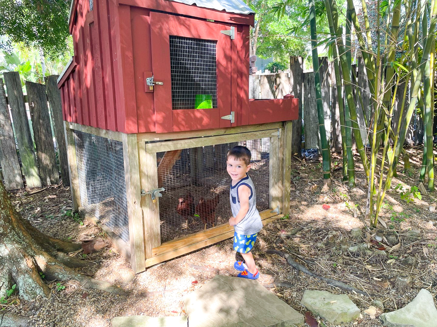 Ritz Carlton Orlando Grande Lakes Ritz Kids Chicken Coop